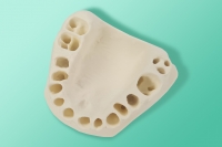 The edentulous jaw model, with no mucosa 10-5076