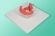 Mounting plate for dental training models of bone 10-9002